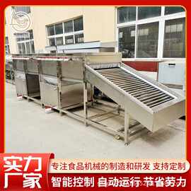 全自动糯玉米加工流水线 大型软包装玉米加工设备 鲜食玉米清洗机