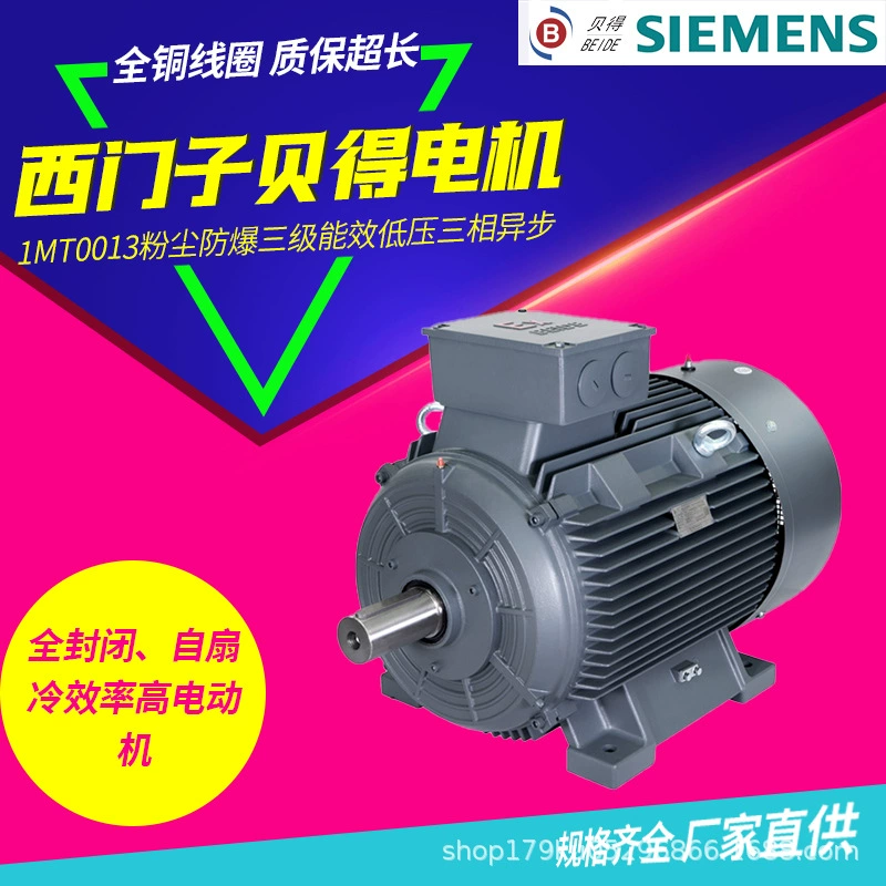Siemens Bete двигатель 1MT0013 пыленепроницаемый трехфазный асинхронный двигатель низкого давления трехфазный 4kw