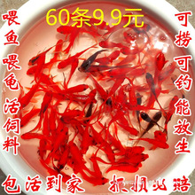 ������С�~��ˮ���B�ͻ����ˮ�~�^�p�~����С���~���~��һ��