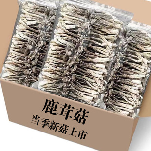 ¹�׹�500g�r���خa¹�׾���؛��๽¹�����㹽ʳ�þ�20g����