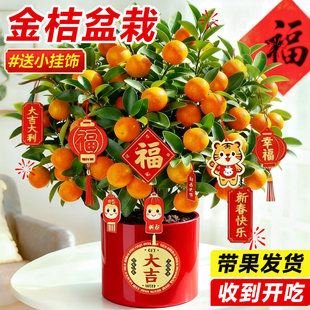 �ļ���ۘ����Ԏ�����ʳ������С���Ә�͏d�҃Ⱥ��B���ܾGֲ�辰