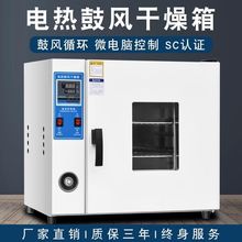 电热恒温鼓风干燥箱实验室小型烘箱食品烘干机工业中药材大灯烤箱