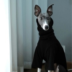 Whippet猎犬现货宠物秋冬套头高领两脚衣意大利灵缇惠比特衣服