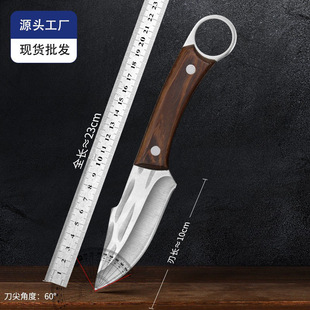 �ɹŵ��ְ��⵶����С�����P��޹ǵ�¶�I����ţ�ŵ����⵶�ָ