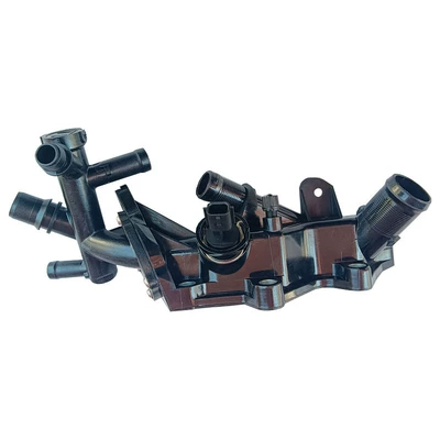 110608635R 110606217R 11060-8635R, Thermostat