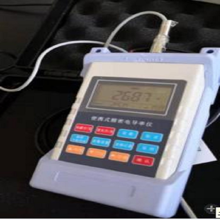 便携式溶氧仪  型号:CH10/ZX-610库号：M406267