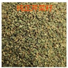 芹菜籽中材新货正品药用芹菜籽种子生子粉袋泡茶泡水芹菜籽