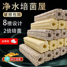 ݞV~ϞVеמVˮ^VʯӢ{մɭh^V