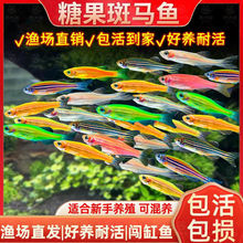 �~С�~���T�ͻ���B�Ꭷ��ˮ�^�p�~��ʹ�~ֱ�N���l���u�S��һ��