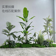 ����Gɫֲ���쾰�M�����T�����Ĕz�����b�ֲ�ﾰ�^�҃ȷՇ���