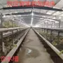 双层安装定制清粪床