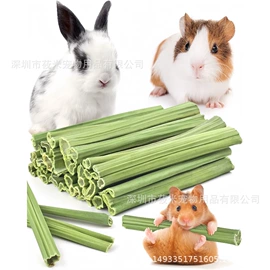 鸟笼;鸟类;宠物周边用品