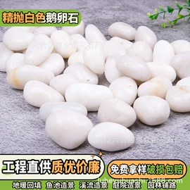 沙石砾石;造景/装饰