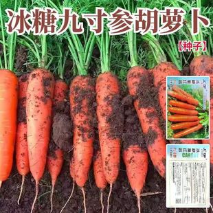 �Ŵ煢���}���N���}���Ѻ��}����ԭ�b�ļ��߲˲��P��ˮ���}���N��