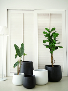 Nordic Style Light Luxury Cement Green Plant Flower Pot Black Diamond Black Floor-Standing Japanese Ceramic Living Room Large Size