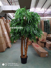 �������������_�h���k���ҿ͏dͥԺ�b�������ؔ[���쾰�b�