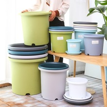 长盛四季加仑花盆控根透气塑料彩色北欧Deepot月季绿萝树脂花盆