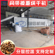�W��ʽ�Ģ��əC ľ���ۭh��Ģ�����ȫ�ԄӸ���C ��Ģ����O��