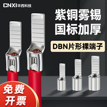 CNXI�A���Ƽ�DBNƬ������� ��Ƭ�䉺�Ӿ��������~�~����1.25/2.5
