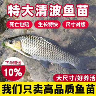 �岨�~�絭ˮ�Bֳʳ�������ನ���A����?�Ĵ��ؑc���ص�ˮ���F�~