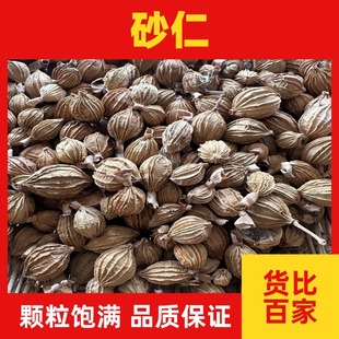 �����Ĵ���ɰ������500g����ɰ����{�ϴ��σ��|��ɰ���l���l���]