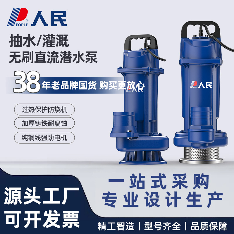 Gente DC bomba sumergible batería coche bomba de agua riego agrícola acero inoxidable 48/60V pequeña bomba