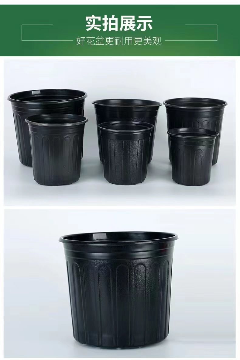 0e19362f-cbc3-4f68-a744-ecca8da3ad35.jpe