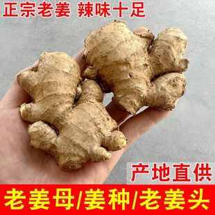 �F���Ͻ��^�F�����������l����С�S���齪�K�Ͻ�ĸ�߲����ӽ����_