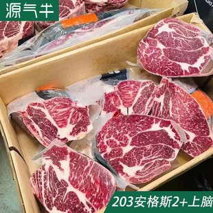 ����203����˹���ţ���X���K���û�偿���ԭ��ѩ��ţ�����Xţ��