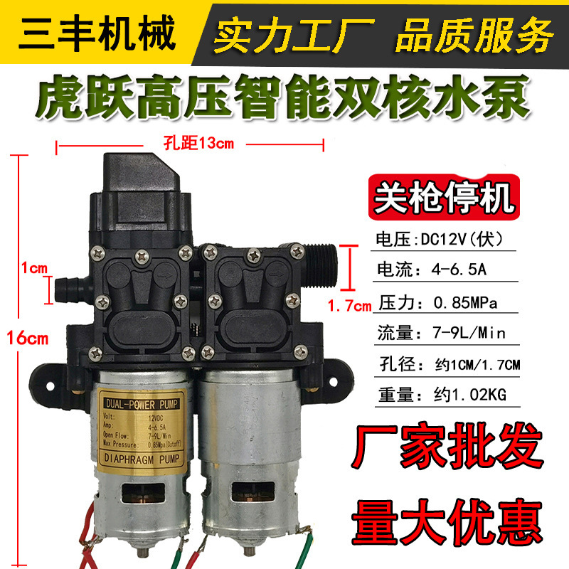 12v電動噴霧器ポンプ高圧知能還流ダイヤフラム二核ポンプ電動噴霧器部品卸売り|undefined