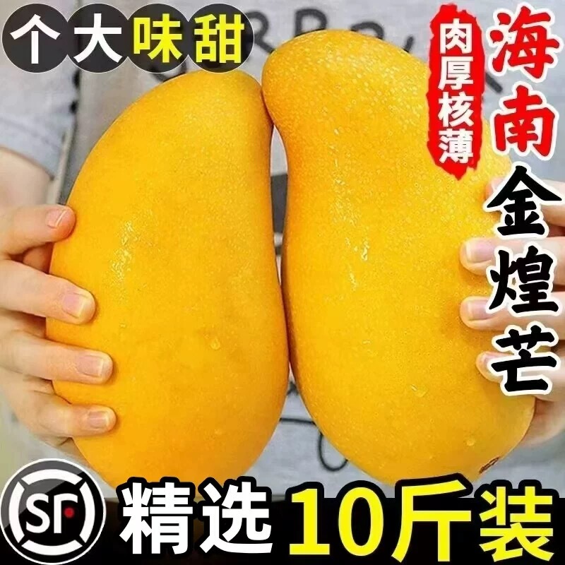 Hainan Jinhuang Mango 5kg Fresh tropical fruit in season, sweet heart mango, shipped in whole boxes with free shipping