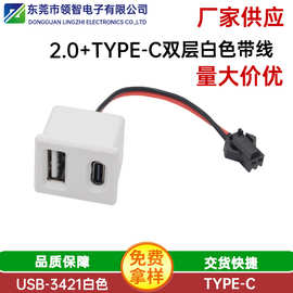 2.0USB+TYPEC母座白胶双层卡扣式带线端子面板式安装两芯充电接口