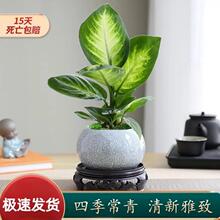�f����ֲ�������k���҃����՚�Gֲ�����҃�ֲ���y�ʺ��^�~ֲ��
