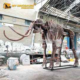 仿真猛犸象骨架化石 古生物骨架科普骨骼模型博物馆美陈展品