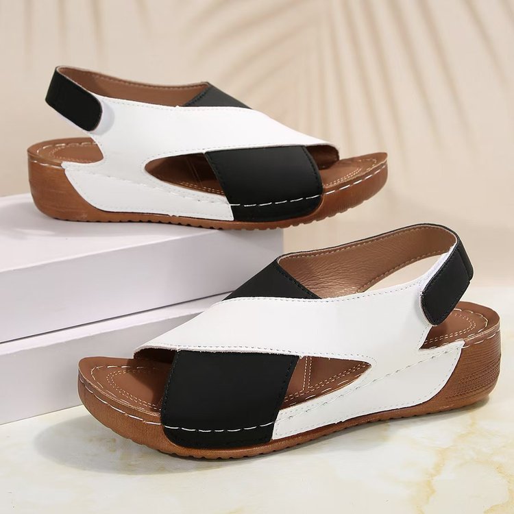 2025030122389045396019w1200h1200_750x750