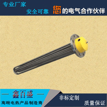 各種非標法蘭電熱管 油罐水箱液體加熱管 鍋爐導熱油加熱器