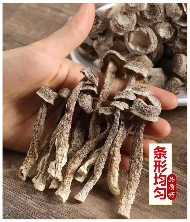 微信图片_20220212185631