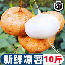 �������r���ĵع��}��ˮ��10�������������r�Ҽ�ʳ�߲˰��]