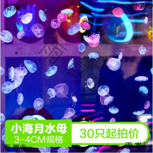 ˮĸ���l100ֻ�^�p�o������ˮĸ2/3ˮĸ�����^�pˮĸ�[�ؔ�