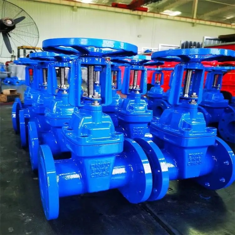 杭州阀门销售Z41X-16Q DN300明杆软密封球墨铸铁法兰弹性座封闸阀