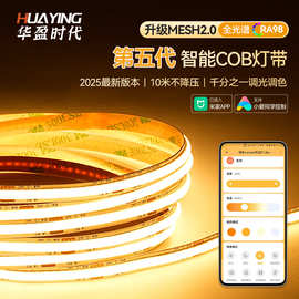 已接入米家APP灯带cob智能无极调光led全光谱98显Mesh2.0版线条灯