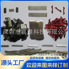 ���ȾW Ͳ�W��܇��푾W�ֶ��C���ȾW�^�V�W���L�W����W���g�̼�