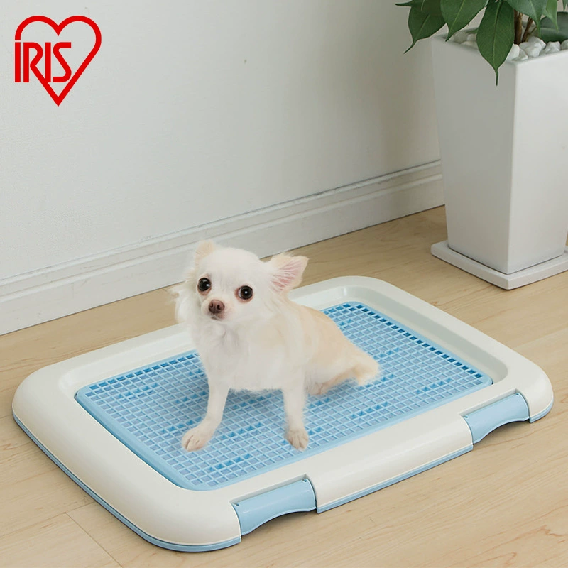 Туалет для собак Алисы Туалетные подгузники для собак Маленькие и средние подгузники для собак Горшок для домашних животных Мишки Тедди Туалет