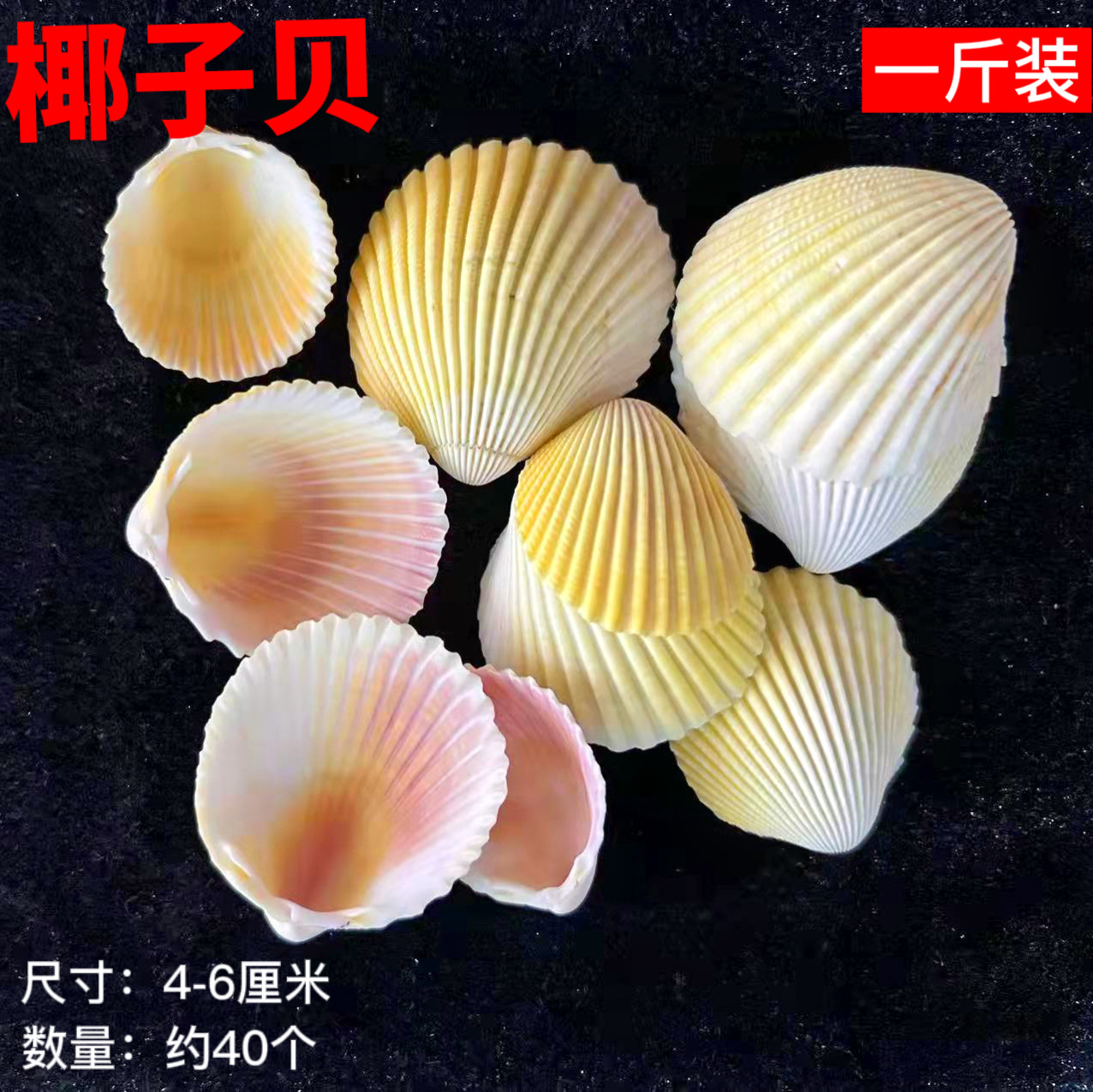 微信图片_20220311171802