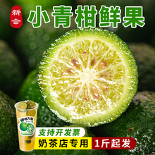 新会小青柑鲜果青柠小金桔手打柠檬茶奶茶店原料陈皮新鲜水果