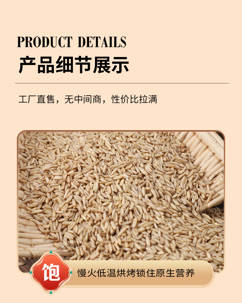 Cooked Oat Groats 500g Low Temperature Roasted Whole Grain for Porridge and Milling specifications