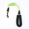 Fluorescent green (bubble)