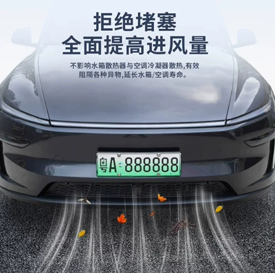 Inlet Protective Cover, Front Protective Net — Automobile anti-insect net