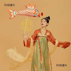 手持发光非遗鱼灯笼传统民俗舞杂耍鱼灯鱼形花灯古风拍摄道麦太保