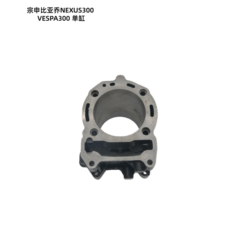 Motorcycle Cylinder Is Suitable for Zongshen Biaqiao Nexus300 Vespa300 Efi Cylinder Kit